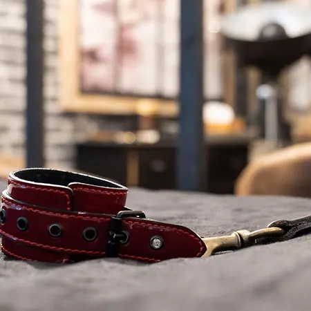 50 Nuances De Bonheur - A Rouen