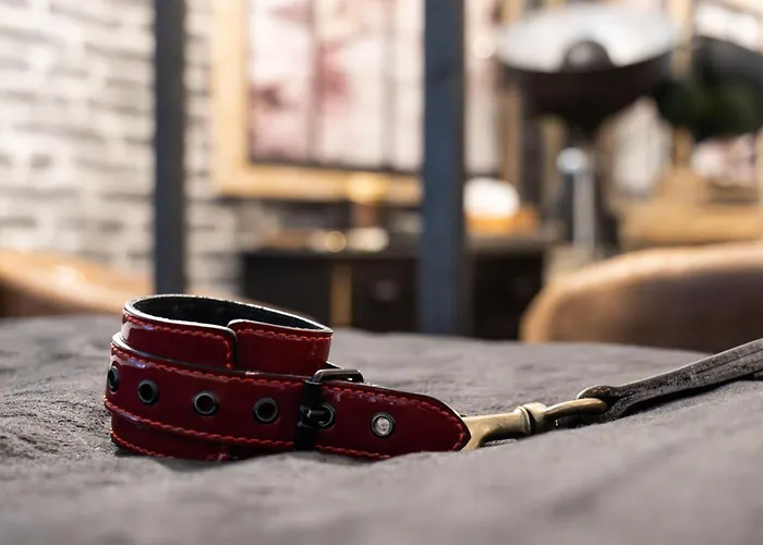 50 Nuances De Bonheur - à Rouen